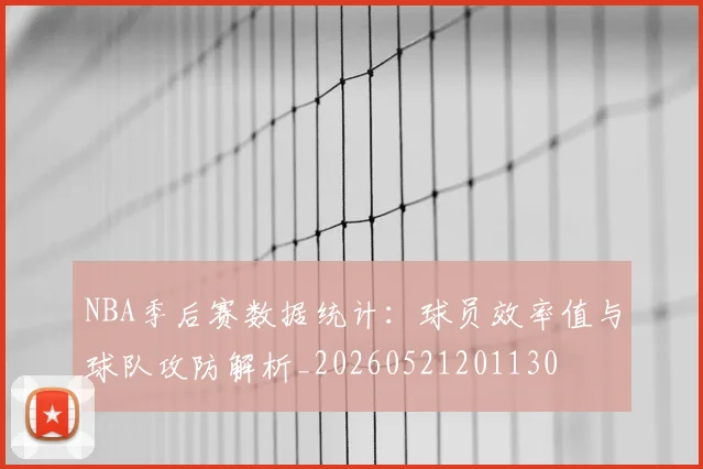 NBA季后赛数据统计：球员效率值与球队攻防解析_20260521201130