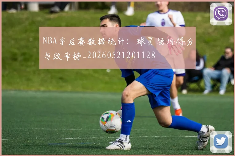 NBA季后赛数据统计：球员场均得分与效率榜_20260521201128