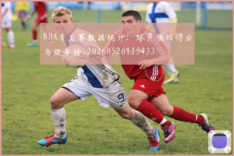 NBA季后赛数据统计：球员场均得分与效率榜_20260526125433